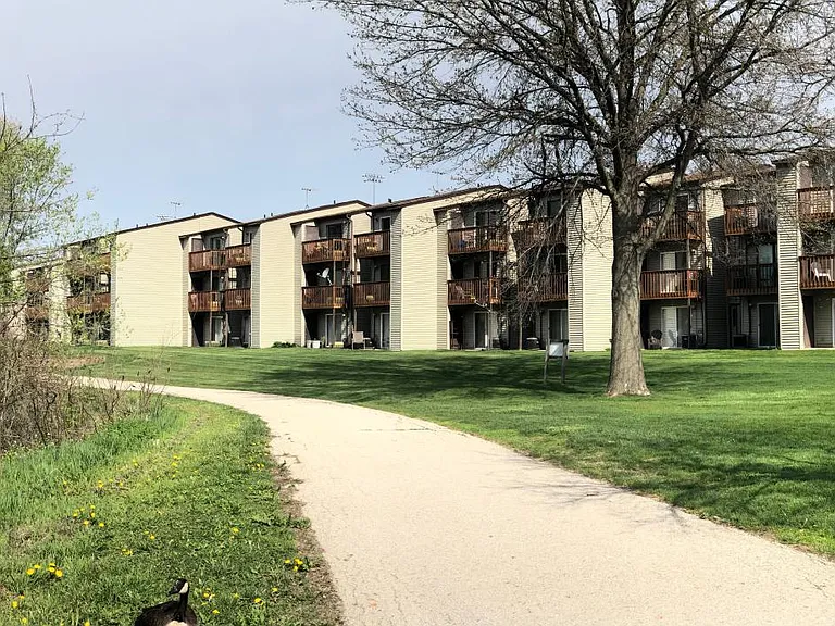 Green space in spring