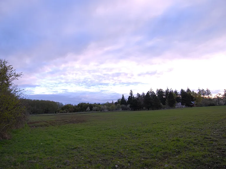 15103 Vashon Hwy SW #B — Photo 17