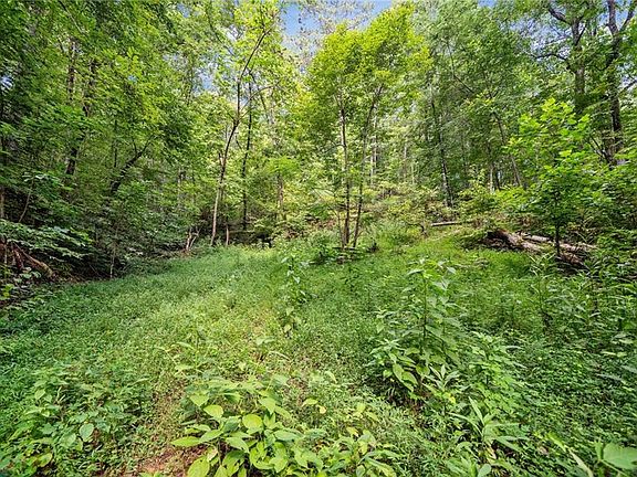 3rd image of 3.11 Acres Cove Rd