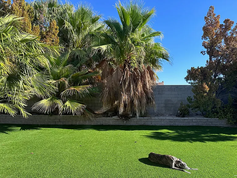 Large backyard with artificial turf.