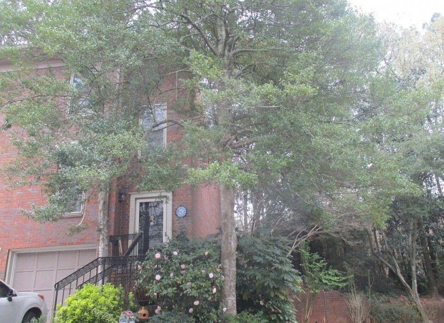 2nd image of 601 Brandywine Cir