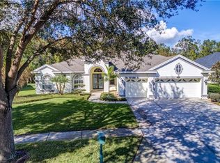 2117 Climbing Ivy Dr, Tampa, FL 33618