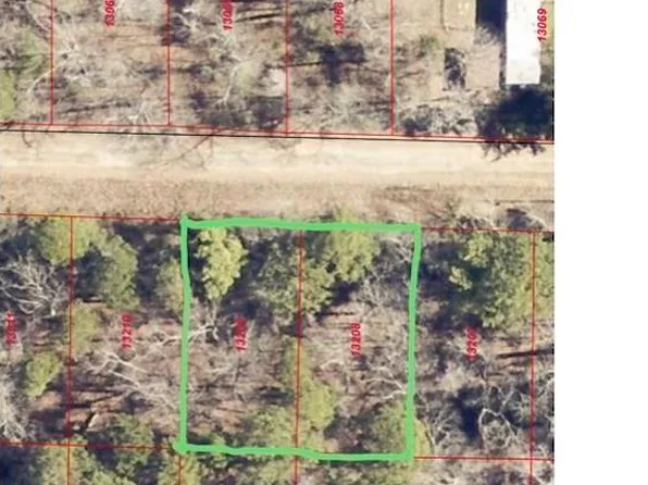 0 Dallas Loop, Avinger, TX 75630