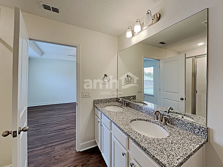 1397 Celery Palm Cv — Photo 16