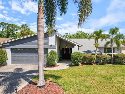 8305 Palma Vista Ln, Tampa, FL, 33614