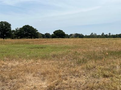 Vz County Road 1905, Fruitvale, TX, 75127