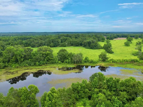 Bassett Dairy Rd, Monticello, FL 32344