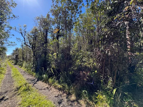 Road 5 Lot 3787, Kurtistown, HI 96760