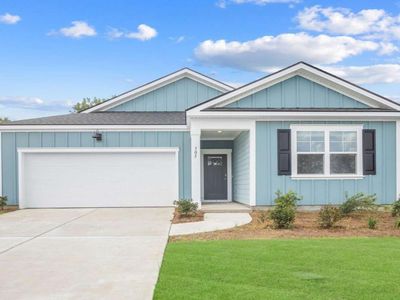 305 Royal Fern Ln, Statesboro, GA, 30461