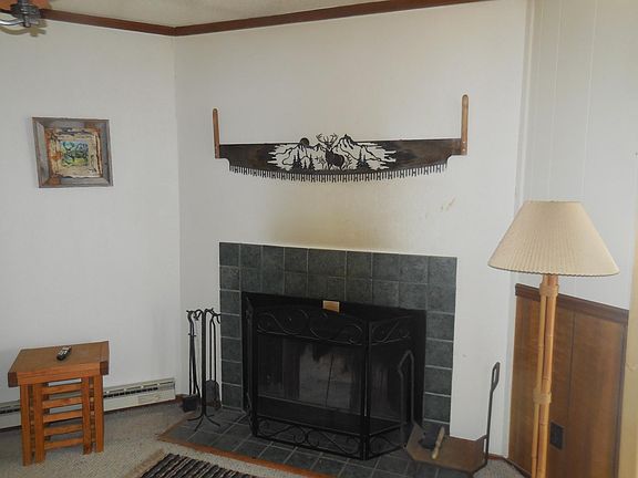 Wood Burning Fireplace