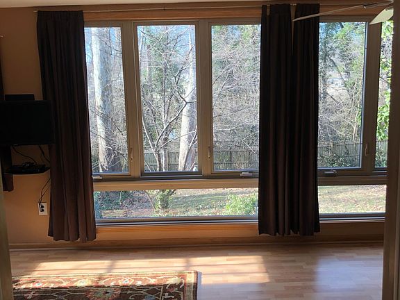 Windows looking out into backyard