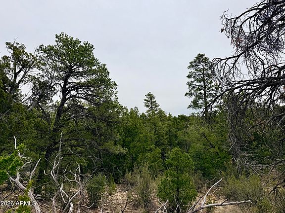 4th image of 4918 SUNSET RIDGE Loop #199