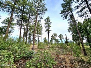 1219 Turkey Hill Rd, Pinedale, AZ 85934