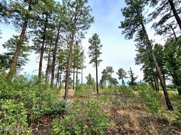 1219 Turkey Hill Rd, Pinedale, AZ 85934
