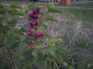 94 Thunder Rd, Columbia Falls, MT 59912