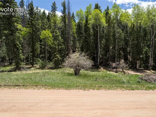 546 Spring Valley Ln, Florissant, CO 80816