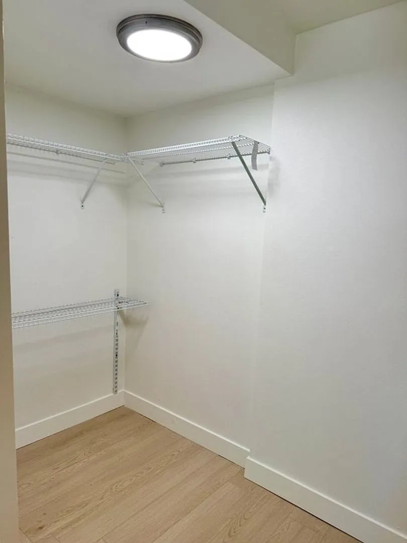 3 bed, 1.5 bath, 1141 sqft, $3,200 — Photo 2