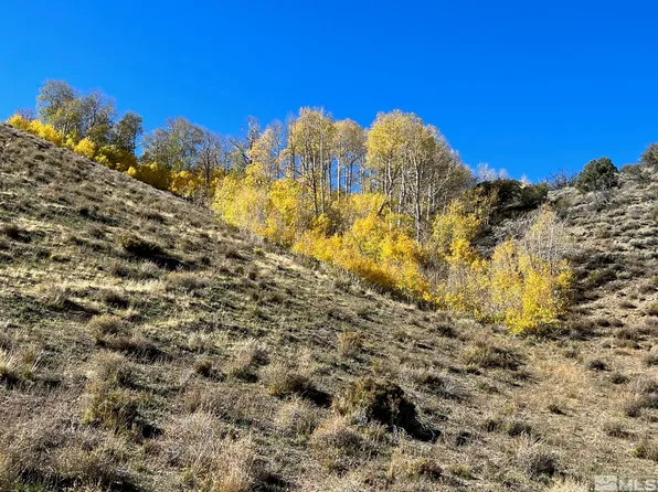 Pine Nut, Gardnerville, NV 89410