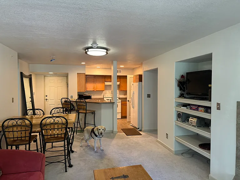 River Pines Ct — Photo 4