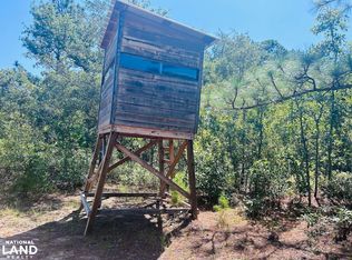 0 Highway 96, Butler, GA 31006