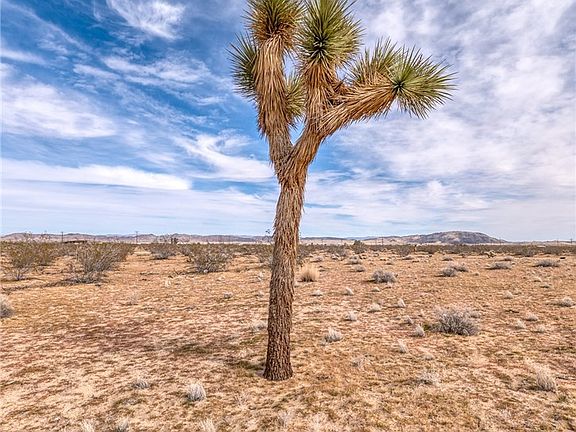 4th image of 147 Littlefield Rd