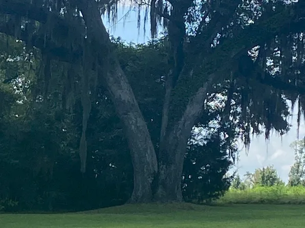 1386 Parker Rd, Grand Ridge, FL 32442