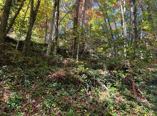 0 & C Us Hwy TRACT B, Sylva, NC 28779