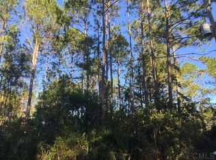 21 Potomac Dr, Palm Coast, FL 32164