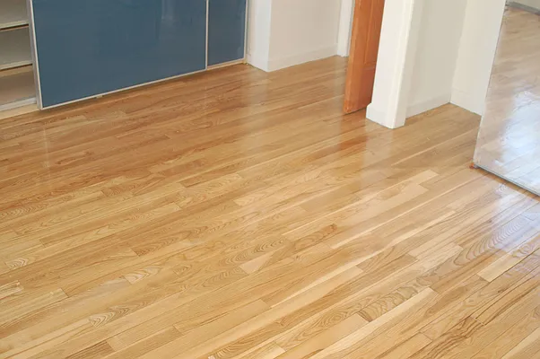 Rented by Owner | media 14