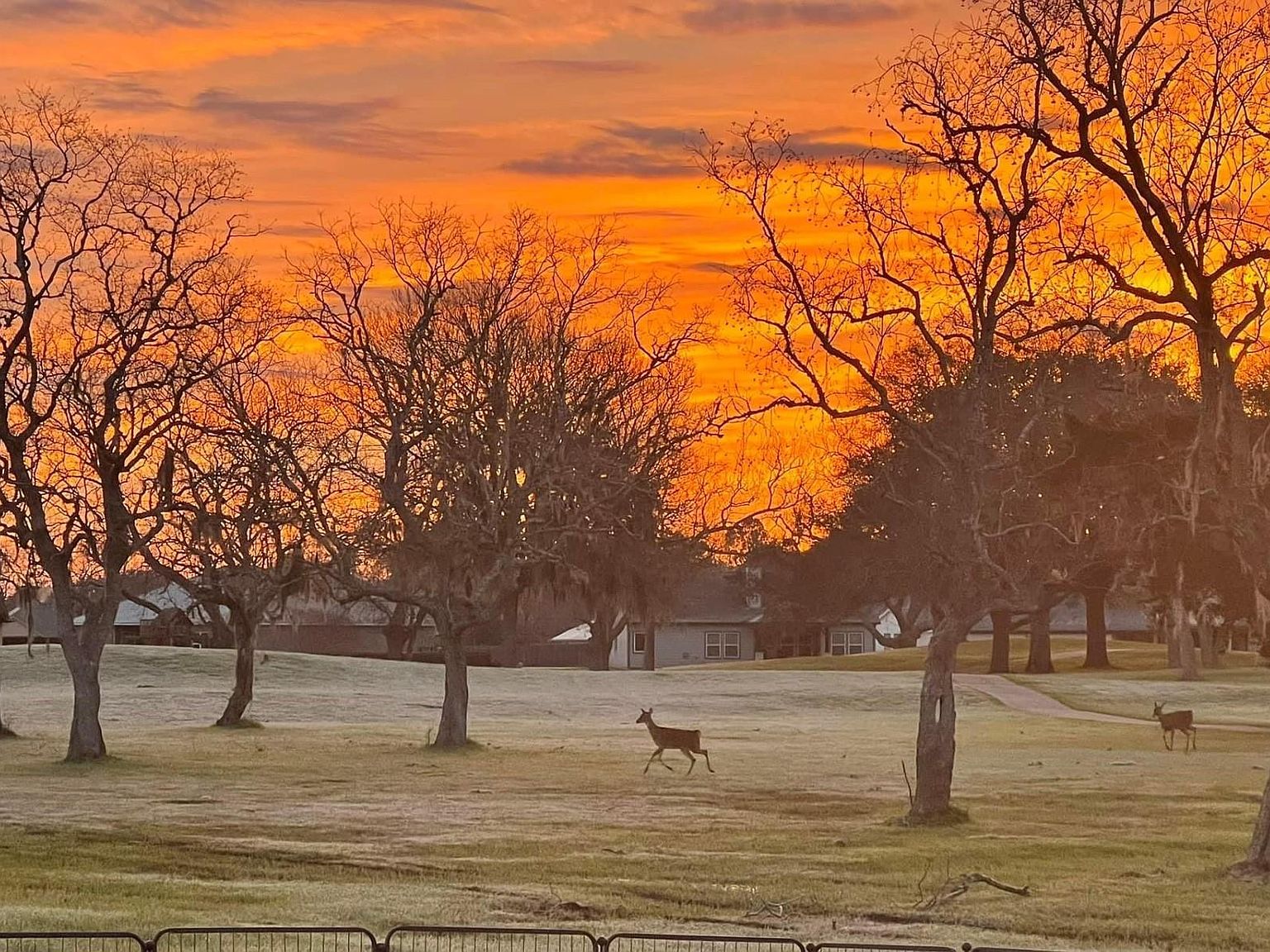 505 Green Meadows Dr