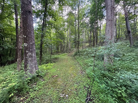 4th image of 243 Davis Run Rd