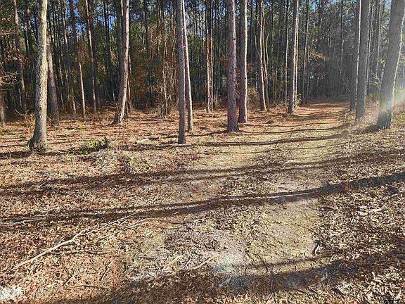 3rd image of County Road 4313 Lot 6