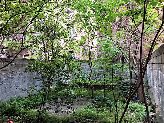 Rented by Corcoran | media 21