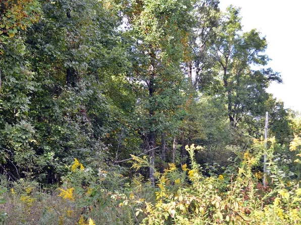 16 Overlook Trl Lot 16B, Spring City, TN 37381
