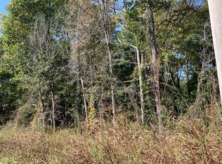 245 Old Springville Rd, Springville, TN 38256