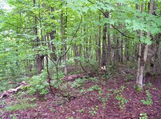 360 Ivan Mereness Rd, Worcester, NY 12197