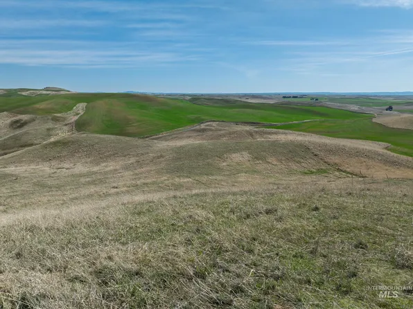 Nka Jacksha, Moscow, ID 83843