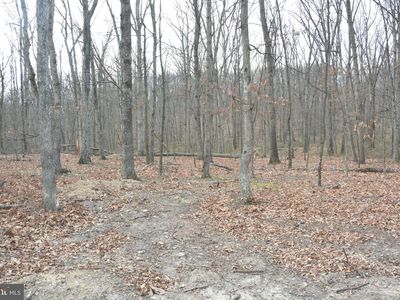 N Timber Ridge Road A Lot 4-60, Cross Junction, VA, 22625