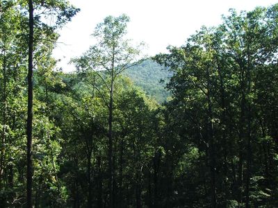137 Bell Camp Ridge Rd, Blue Ridge, GA, 30513