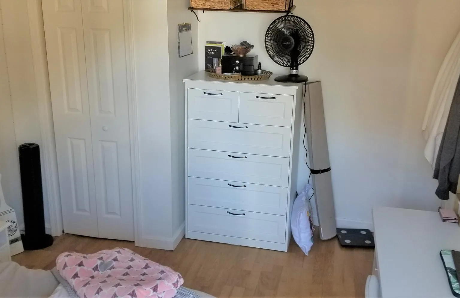3 bed, 915 sqft, $3,000 — Photo 4