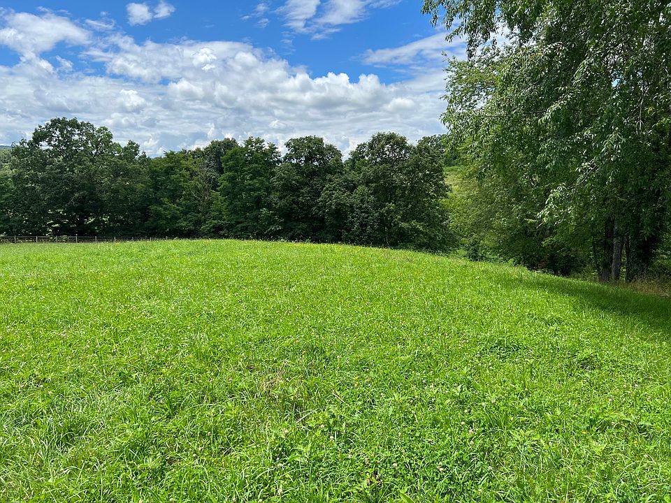 158 Gum Cove Rd, Buckeye, WV 24924 Zillow