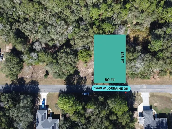 1449 W Lorraine Dr, Citrus Springs, FL 34434