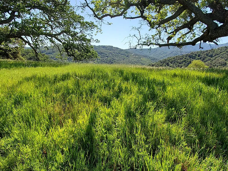 Nearby Hiking Trails