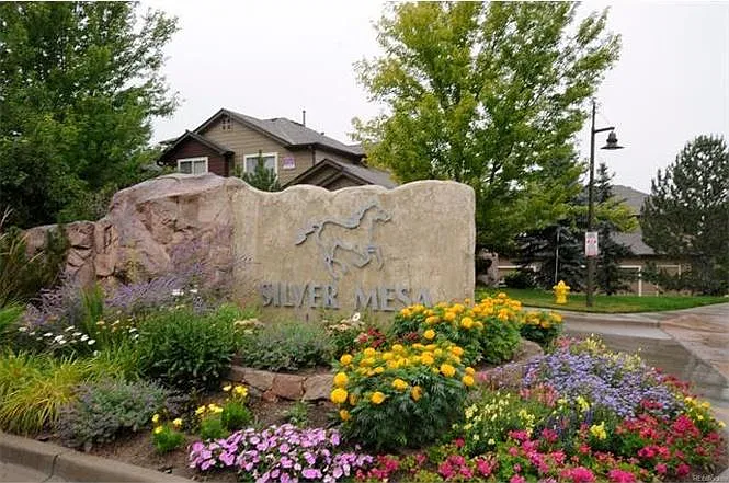 6508 Silver Mesa Drive — Photo 2