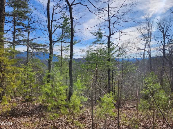 46 Feld Wynde Close Way Lot 46, Sevierville, TN 37862