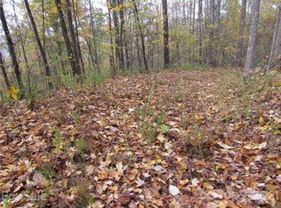 E Twenty Red Wolf Run None, Mars Hill, NC 28754