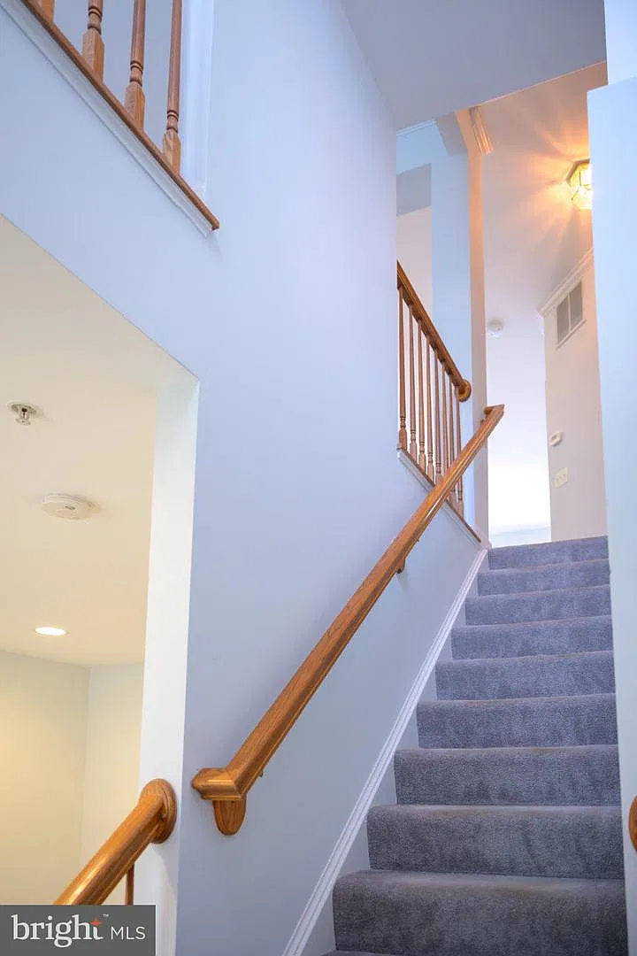 2 bed, 2.5 bath, 1566 sqft, $3,100 — Photo 3