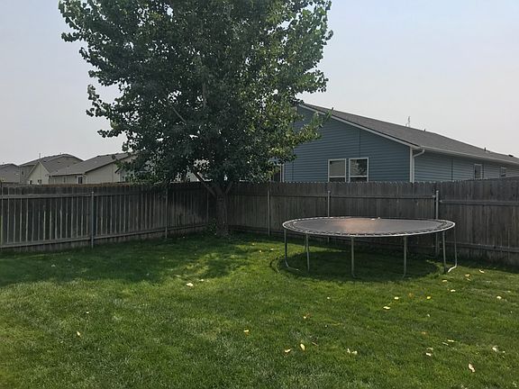 Backyard - SE corner