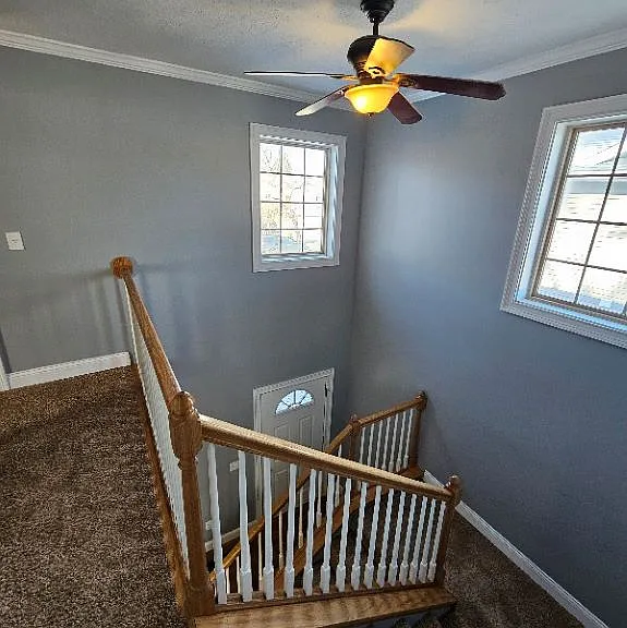 2916 Acorn Dr — Photo 5