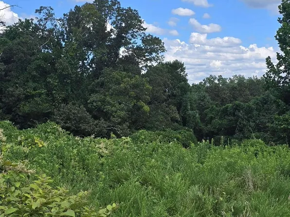 52 Paint Rock Ferry Rd, Kingston, TN 37763